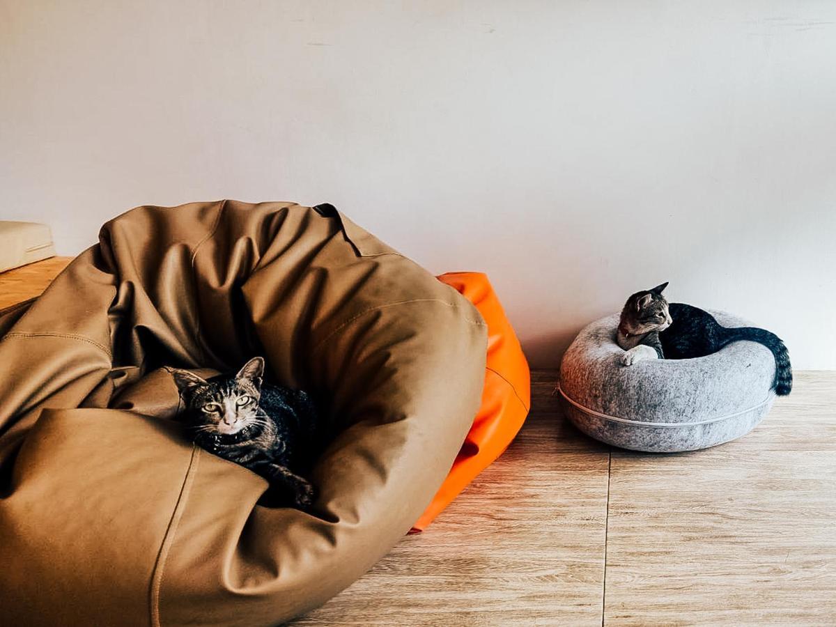 Paknap Hostel Nan Dış mekan fotoğraf